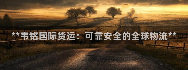 尊龙凯时ag旗舰厅官：**韦铭国际货运：可靠安全的全球物