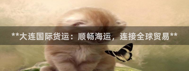 尊龙人品怎么样：**大连国际货运：顺畅海运，连接全球贸易