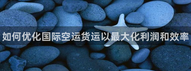 尊龙体育正规么：如何优化国际空运货运以最大化利润和效率