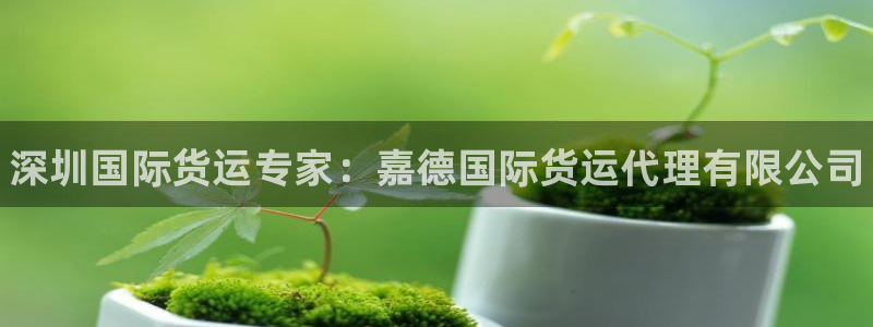 尊龙凯时邀请码：深圳国际货运专家：嘉德国际货运代理有限公