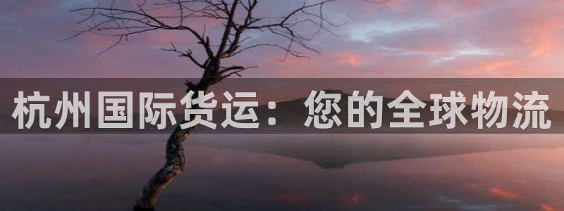 尊龙z6官网ag：杭州国际货运：您的全球物流