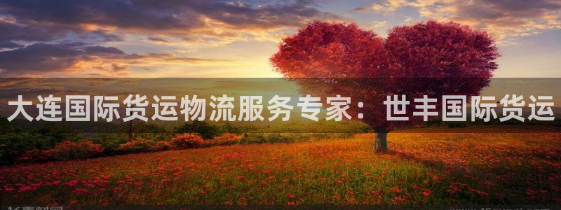 尊龙旗舰厅：大连国际货运物流服务专家：世丰国际货运