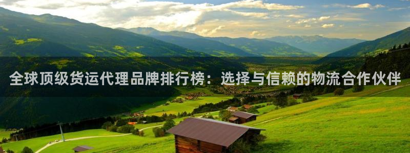 尊龙-人生就是博!：全球顶级货运代理品牌排行榜：选择与信