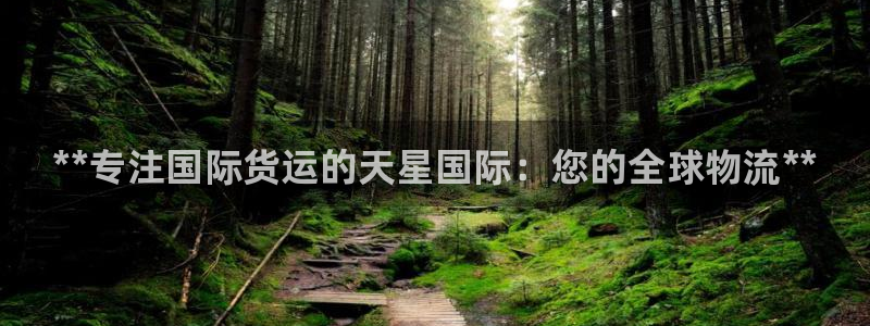 尊龙官网免费下载安装：**专注国际货运的天星国际：您的全