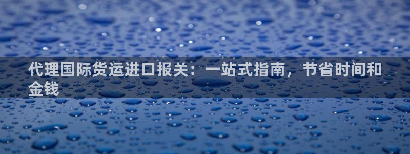 尊龙人生就是博中国区：代理国际货运进口报关：一站式指南，