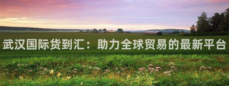 尊龙凯时推荐人：武汉国际货到汇：助力全球贸易的最新平台