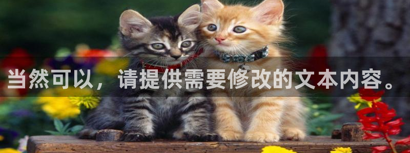 尊龙ag旗舰官网：当然可以，请提供需要修改的文本内容。